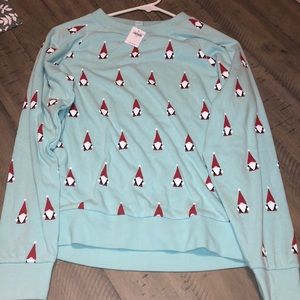 Aerie Sleep Shirt (Never Worn)